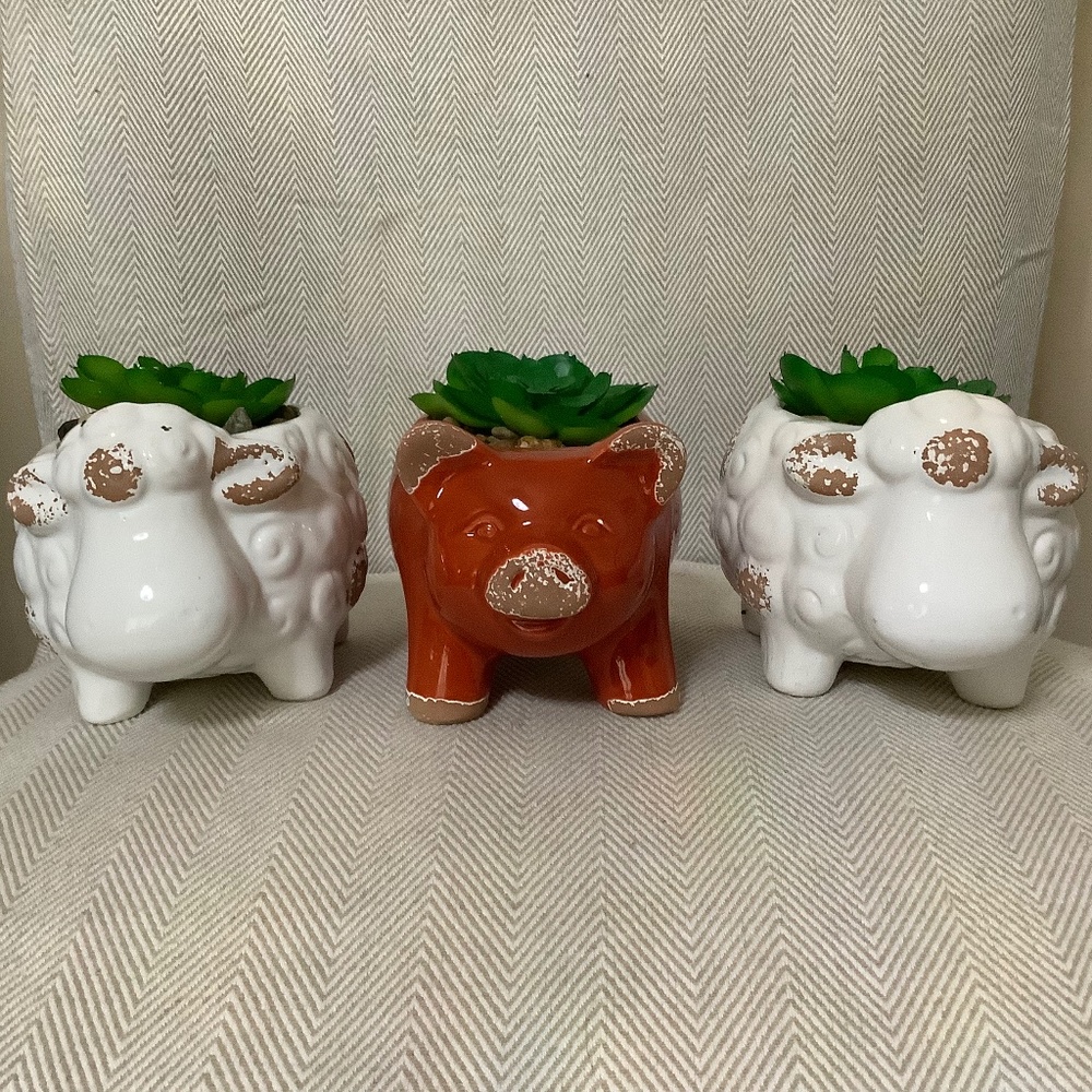 3 fake succulents, 2 white sheep, 1 red pig, ceramic new
